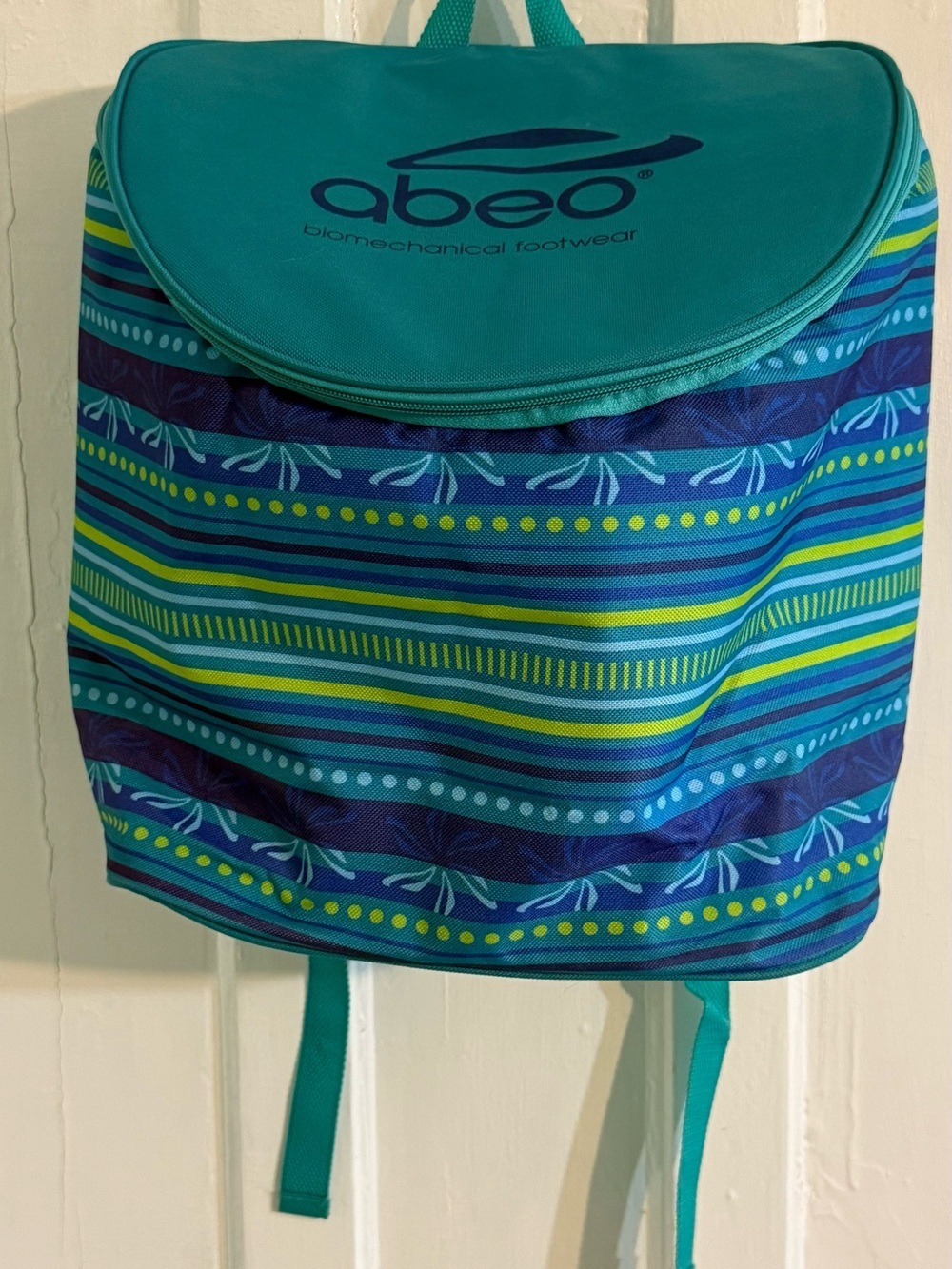 Cooler Backpack with Blue & Green Stripes with teal accents